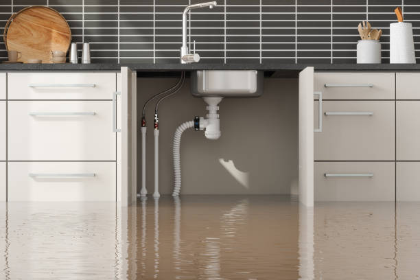 Best Wood Floor Water Damage Restoration in USA